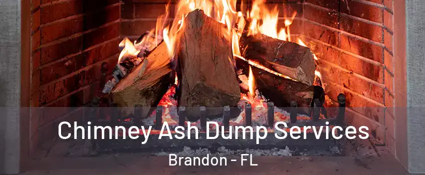 Chimney Ash Dump Services Brandon - FL